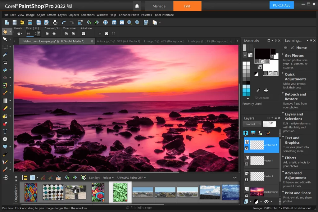 Corel PaintShop Pro.