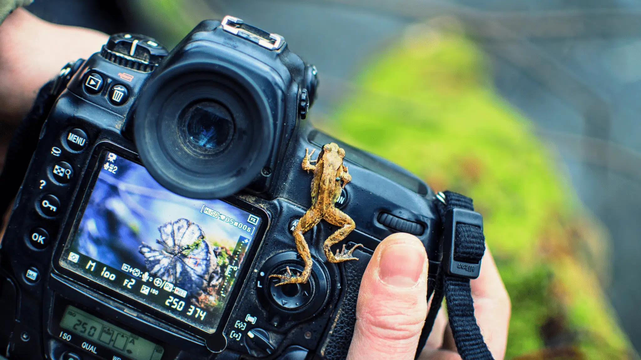 56 Awe Inspiring Must See Creative Photographs