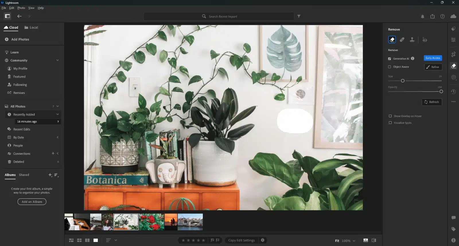 Brushing in Generative Remove