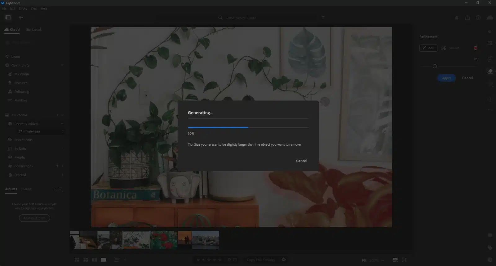 Applying in Generative Remove