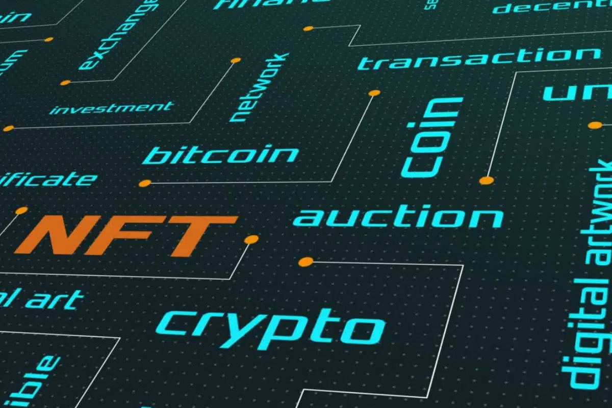 Where do your NFTs go after you bought them?