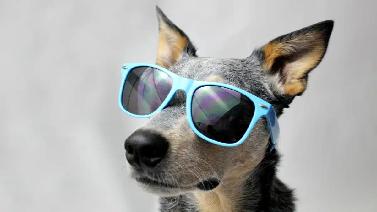 ChatGPT for Creatives